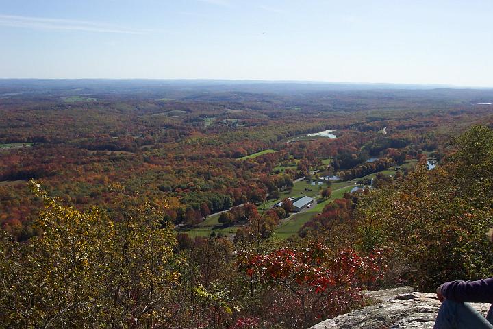 fall 030.jpg